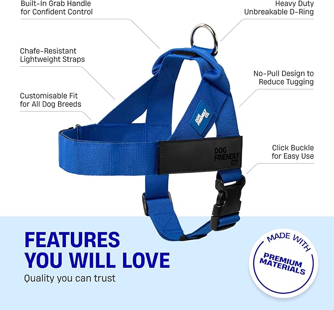 DF Co. Dog Harness | Chafe Resistant Webbing, Adjustable Neck & Chest, and Heavy Duty D-Ring | Sturdy, Comfortable, Easy to Use | Classic Blue, Size S