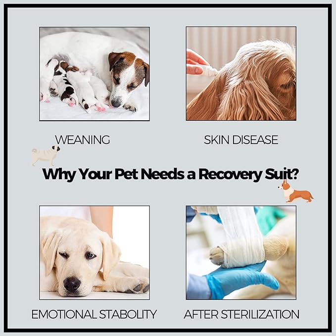 Dog Surgery Recovery Suit, Puppy Cat Onesie for Shedding Skin Disease Wound Protection, Medical Pet Surgical Suit w/Long Sleeve, Dog Pajamas (Black Grey, Medium)