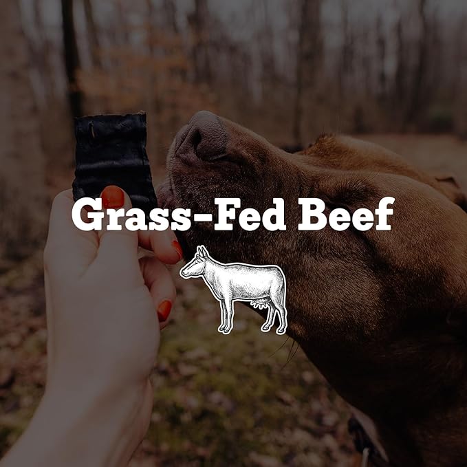 Farm Hounds - Beef Heart - Premium Natural Beef Heart Jerky for Dogs - Made from 100% Humanely Raised Cattle - Organ Treat - Great for Training & Treats - No Added Fillers - Made in USA - 4oz -2 Pack