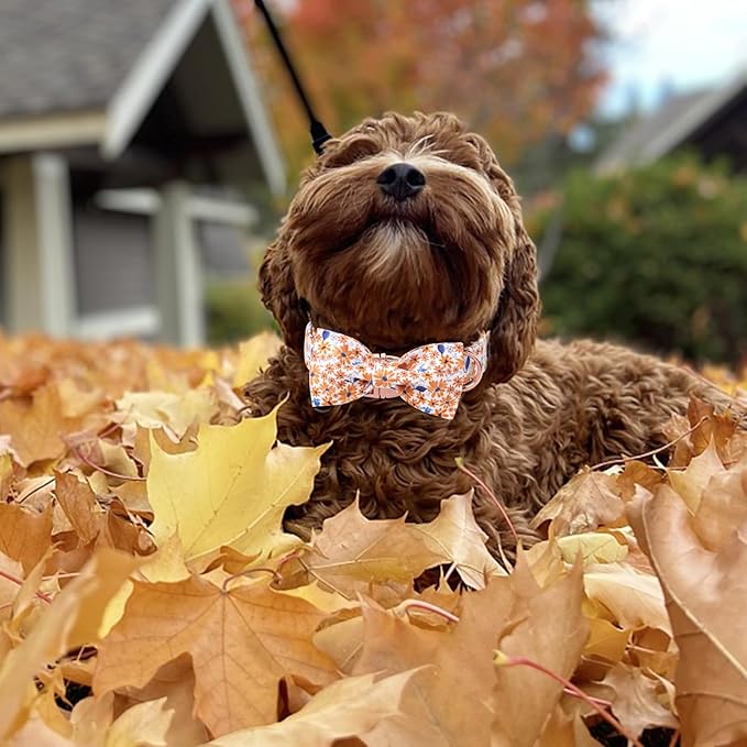 Unique Style Paws Autumn Leaf Collar with Bow Blue Leaf Flower Cotton Dog Collars for Small Medium Large Dogs