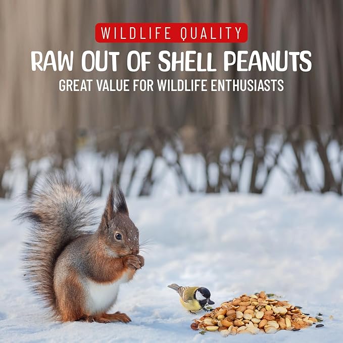 Premium Quality Raw Out of Shell Peanuts - 10 Pounds - Shelled Peanuts for Birds – Wildlife Quality - Food for Squirrels, Deer, Birds, and Other Wildlife Animals – Grown in The USA