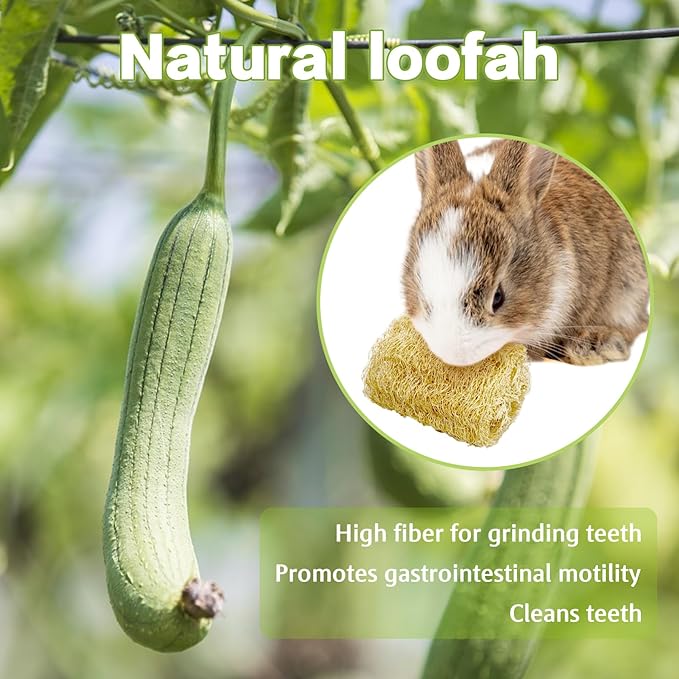 BNOSDM Bunny Chew Toys Natural Loofah 4PCS Bunny Teeth Grinding Toy Rabbit Fiber-Rich Treats Pet Entertainment Accessories for Rabbits Chinchillas Guinea Pig（XL）