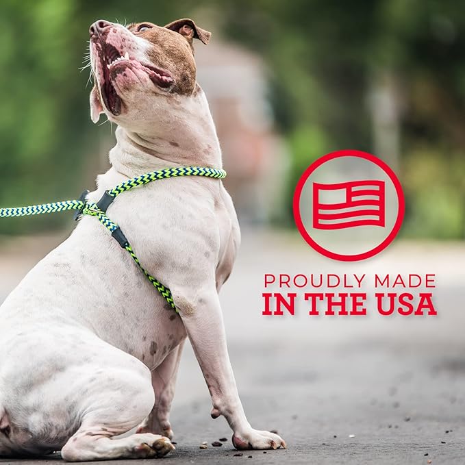 Harness Lead No Pull Dog Harness and Leash Set, Anti Pull Dog Harness for All Breeds and Sizes, One-Piece Cushioned Rope Design Safely Prevents Escaping and Pulling (Medium/Large, Blue/Multi)