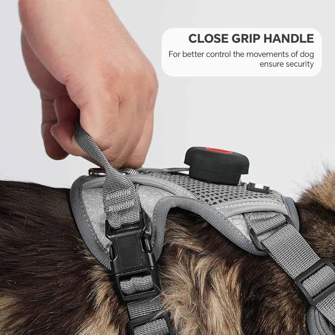 Cat Harness and Leash Set with AirTag Holder: Upgraded Escape Proof Vest with Lead for Small Dog Puppy Large Cat Walking，Soft Breathable Mesh Coat with Reflective Strip (Grey, L)