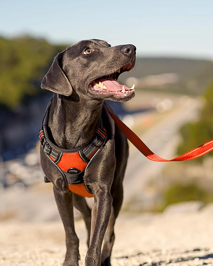 Joytale No Pull Dog Harness for Extra Large Dogs, Reflective Pet Vest with Front Clip, Adjustable Soft Padded Harnesses with Easy Control Handle for Training and Walking, Orange, XL