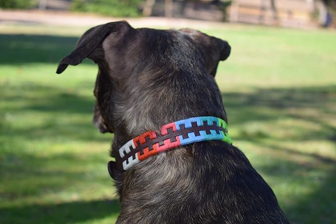 Gaucho Goods Leather Dog Collar - Zephyr (M)