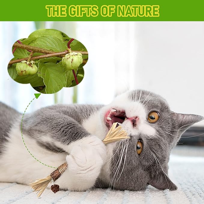 5 Pack Silvervine Cat Toy, Silvervines Sticks Cat Toys for Indoor Cats, Cat & Kitten Chew Toys for Aggressive Chewers, Cat Dental Toy for Kitten Teeth Cleaning, Matatabi Silvervine for Cats