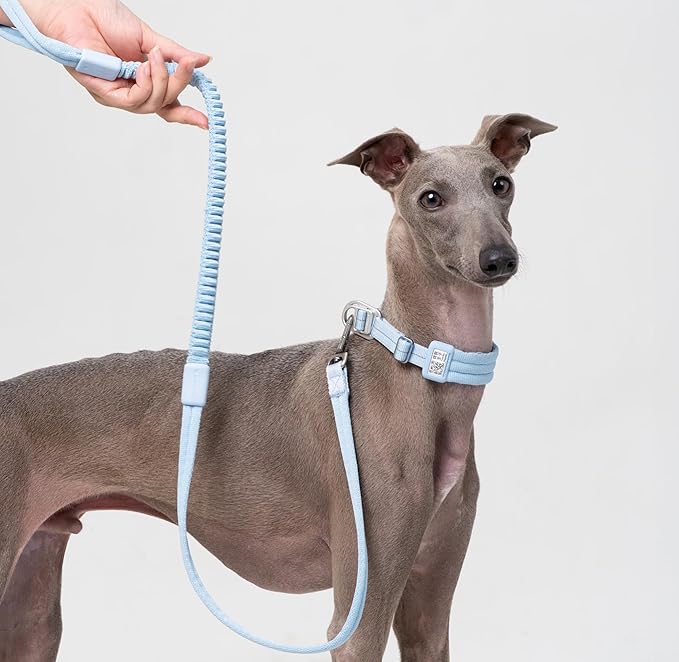Ultra Comfort Dog Collar Soft Padded Adjustable Nylon Collar QR Code Anti-Lost Comfortable Cozy Dog Collar with Durable Aluminum Alloy Buckle for Small to Large Dogs (Sierra Blue, S)