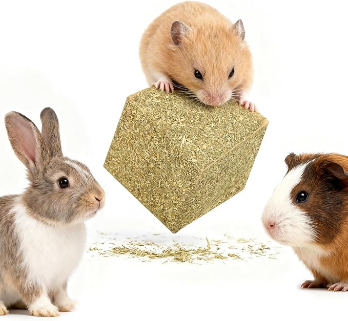 Abizoo Natural Rabbits Chew Toys Timothy Hay & Pine Wood Blocks for Guinea Pigs, Hamsters Small Animal Dental Care Digestion & Molar Health Vitamin Enriched Chewing Treats