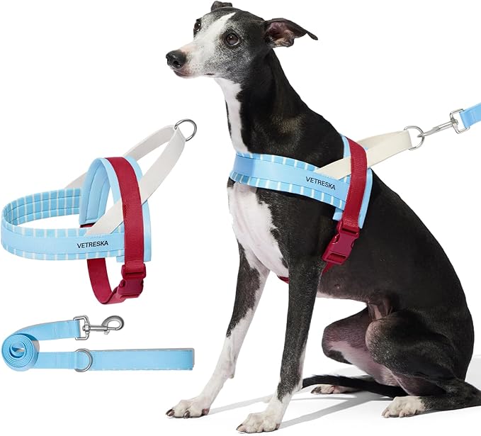 VETRESKA Dog Harness Small Sized Dog, Adjustable No Choke Puppy Harness No Pull, Easy Control Pet Harness Vest for Dogs, Cat, Kitten, Dog Harness with Anti-Tangle Dog Leash Set, Misty Melo XS