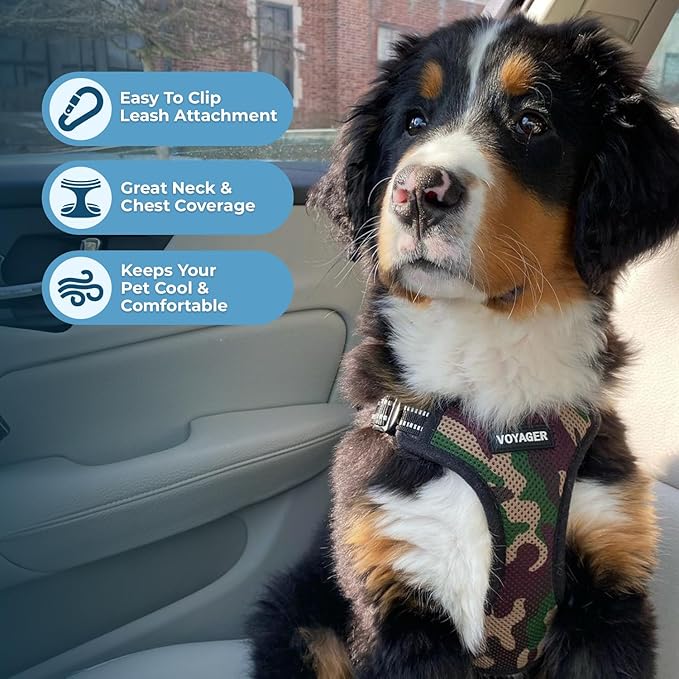 Best Pet Supplies Voyager Mesh Dog Breathable Harness Reflective Stitching, All Weather Adjustable for Walking Training, or Running - Heavy Duty & Durable, Harness (Army/Black Trim), L