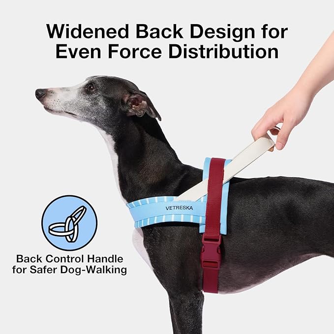 VETRESKA Dog Harness Small Sized Dog, Adjustable No Choke Puppy Harness No Pull, Easy Control Pet Harness Vest for Dogs, Cat, Kitten, Dog Harness with Anti-Tangle Dog Leash Set, Misty Melo XS