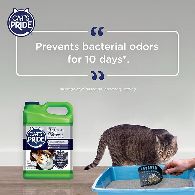 Cat's Pride Max Power: Bacterial Odor Control - Up to 10 Days of Powerful Odor Control - Strong Clumping - 99% Dust Free - Multi-Cat Litter, Scented, 15 Pounds