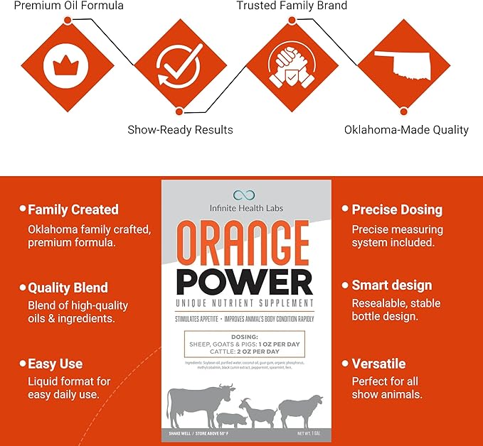 Orange Power Nutrient Supplement for Show Cattle, Sheep, Goats and Pigs - Appetite Stimulant & Performance Booster - Liquid Formula with B12 & Phosphorus (1 Gallon)