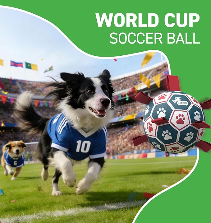 QDAN Dog Balls, World Cup Soccer Ball with Straps, Durable Herding Balls for Small Medium Pet, Puppy Birthday Gifts, Dog Water Toy, Pet Toys Puppy Ball (6 Inch)