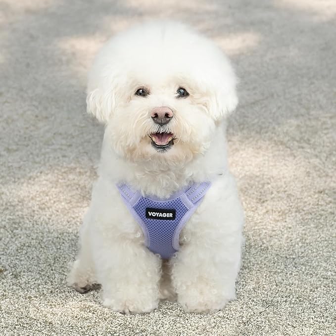 Best Pet Supplies Voyager Mesh Dog Breathable Harness Reflective Stitching, All Weather Adjustable for Walking Training, or Running - Heavy Duty & Durable, Harness (Lavender), XL