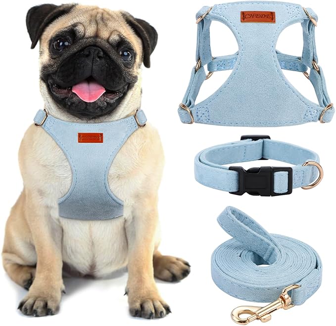 No Pull Dog Harness- Lightweight, Soft, Adjustable Small Harness Collar and Leash Set, Suitable for Cats Puppy Small and Medium-Sized Dog Outdoor Training and Running (Blue, M)