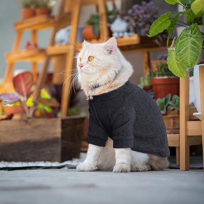 Idepet Sphynx Hairless Cats Sweater Shirt Kitten Soft Puppy Clothes Pullover Cute Cat Pajamas Jumpsuit Cotton Apparel Pet Winter Turtleneck for Cats and Teacup Chihuahua Small Dogs(Black,L)