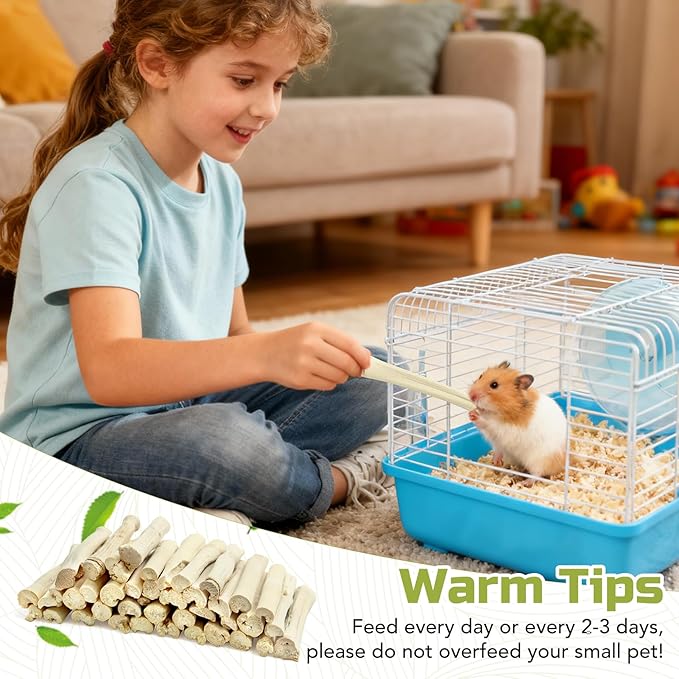 430g Natural Sweet Bamboo Chew Toys Chew Sticks Bamboo Sticks Teething Toy for Rabbit, Bunny, Guinea Pig, Hamster, Chinchilla, Bunny, Rat and Other Small Animals