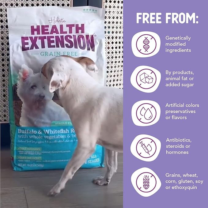 Health Extension Grain Free Buffalo & Whitefish Little Bites Small Kibble Formula with 30+ Superfoods and Probiotics for Teacups, Toys & Miniature Dogs (3.5lb)