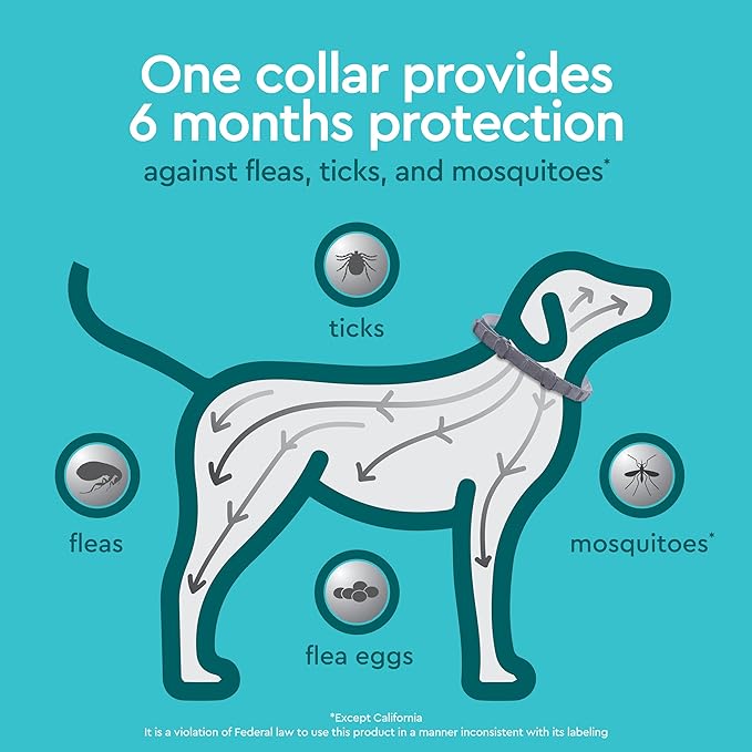 PRO Flea & Tick Collar for Dogs, 6-Month Protection, 1 Count