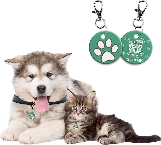 tag8 QR Code ID Tag for Dogs & Cats, Real-Time Scan Alerts, Online Pet Info Access, No Subscription or Fees, Durable Pet Tag for Collars - Green