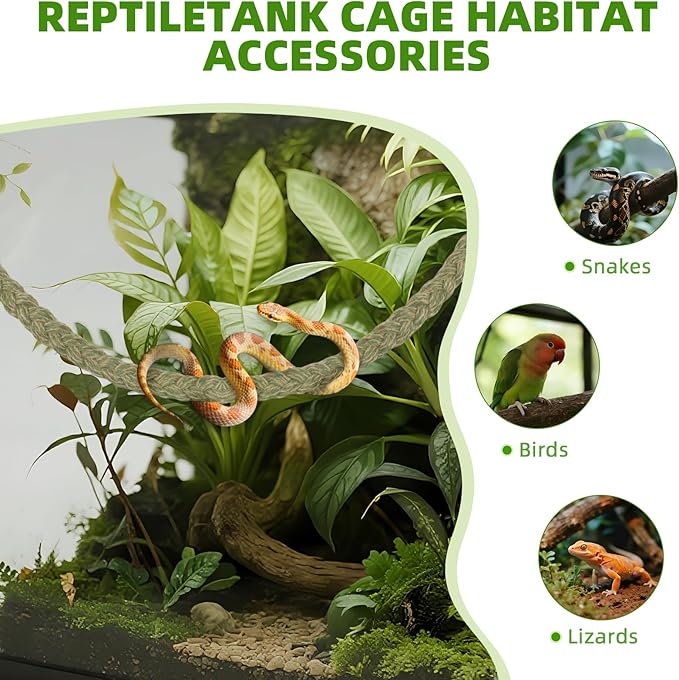 Snake Climbing Rope,Snakes Ladders Toys, Snake Enrichment Supplies, Small Reptile Tank Accessories, Reptile Climbing Toys for Ball Python Corn Hermit Crab Lizards Geckos (Green)