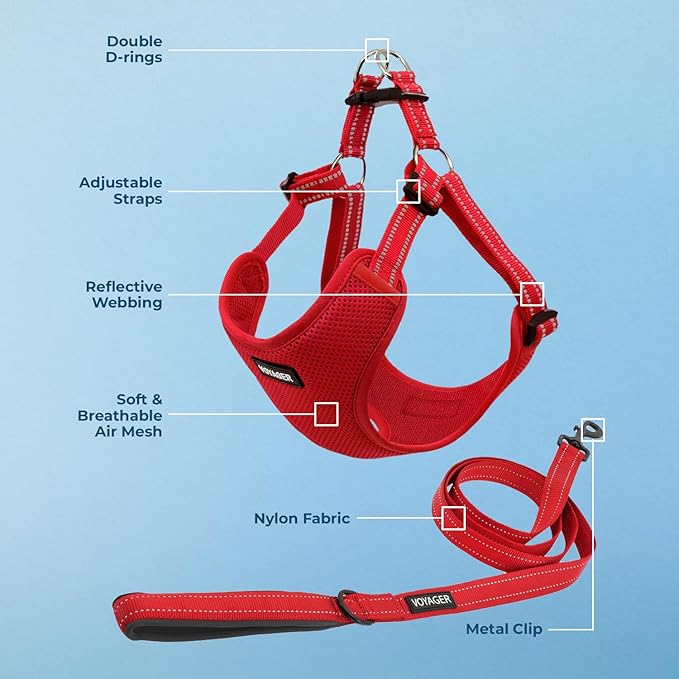 Best Pet Supplies Voyager Mesh Dog Breathable Harness Reflective Stitching, All Weather Adjustable for Walking Training, or Running - Heavy Duty & Durable, Harness Leash Set (Red), S