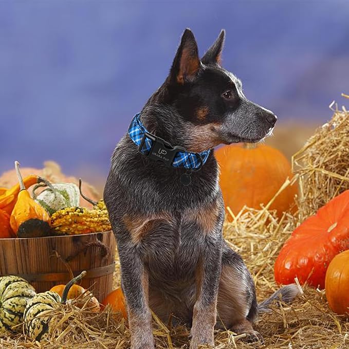 Autumn Cotton Dog Collar, Blue Plaid with Plastic Buckle, Adorable Pet Collar for Puppy, Cat or Dog