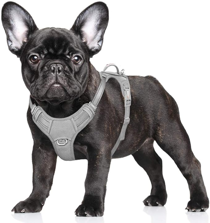 BARKBAY No Pull Dog Harness Large Reflective Dog Harness with Front Clip and Easy Control Handle for Walking Training Running with ID tag Pocket(Grey,S)