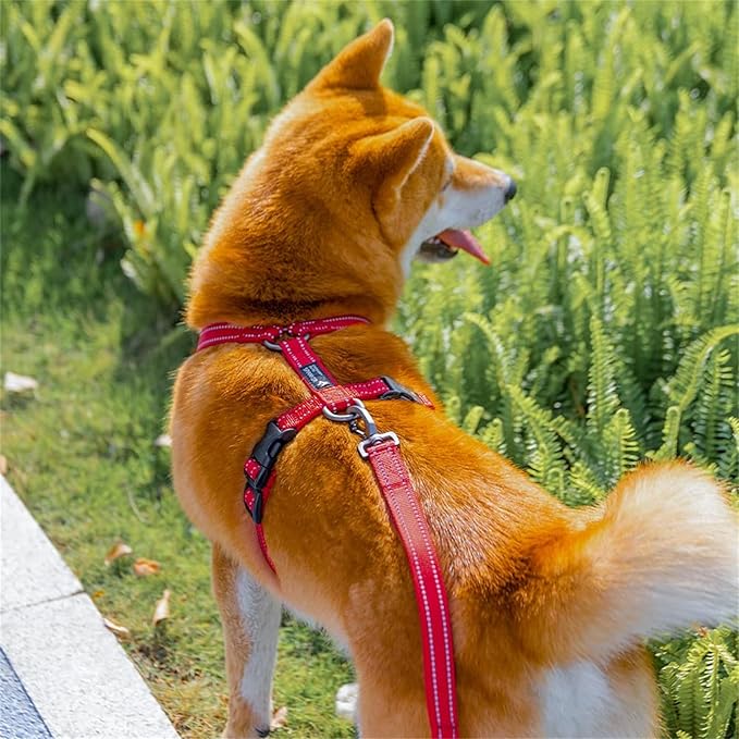 EXCELLENT ELITE SPANKER No Pull Dog Harness Reflective Nylon Vest L-Shaped Adjustable Easy Pet Harness for Small Medium Large Breeds Dogs Walking Training Black Red(Black-M)