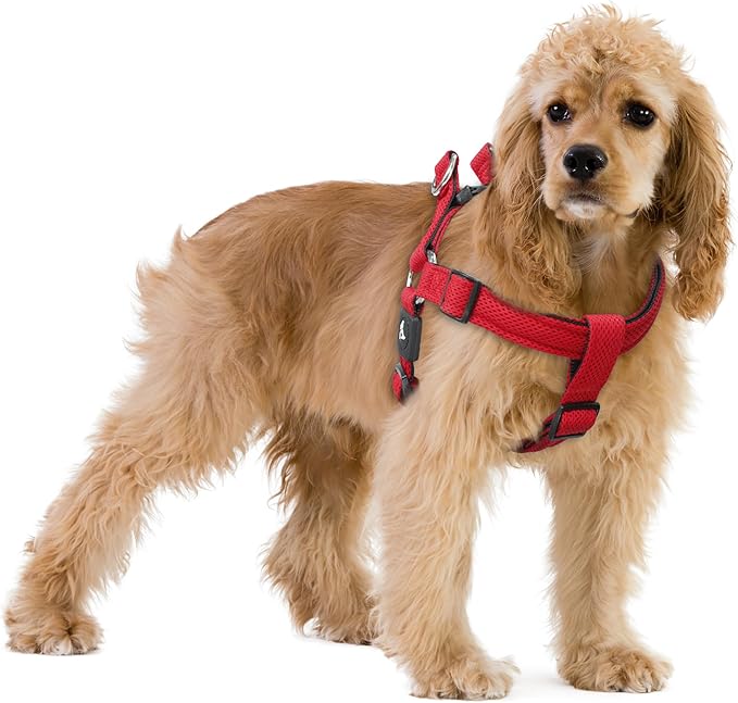 Kruz No Pull Dog Harness (Chest 21”-30”, Weight 22-53 lbs) Heavy-Duty Pet Harness for Medium Breeds, Ultra-Comfort Fit, Lifetime Durability, Adjustable Dog Harness No Pull Design (Red, Medium)