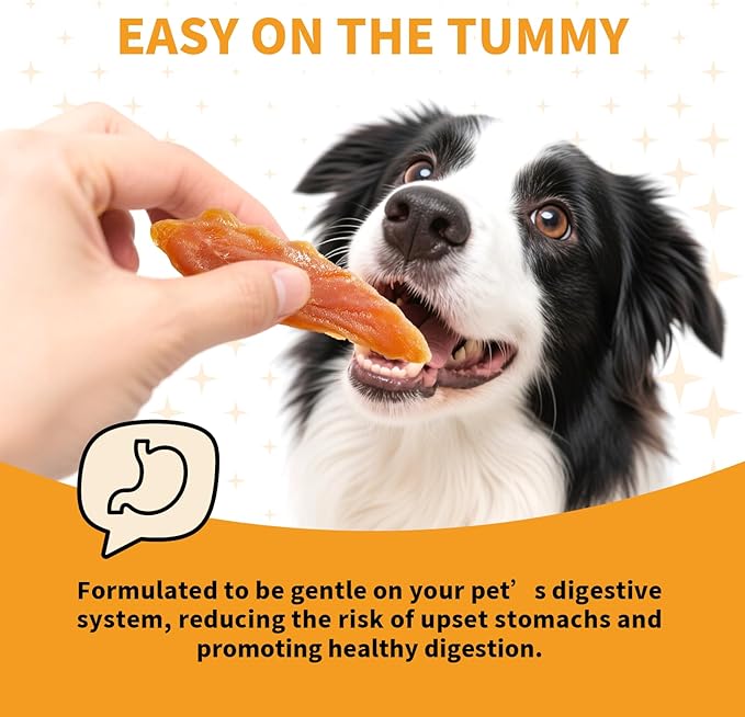 Chicken Jerky Dog Treats, Natural Real Meat Dog Treats,Single Ingredient, No Artificial Flavors or Preservatives - 1 lb Bag