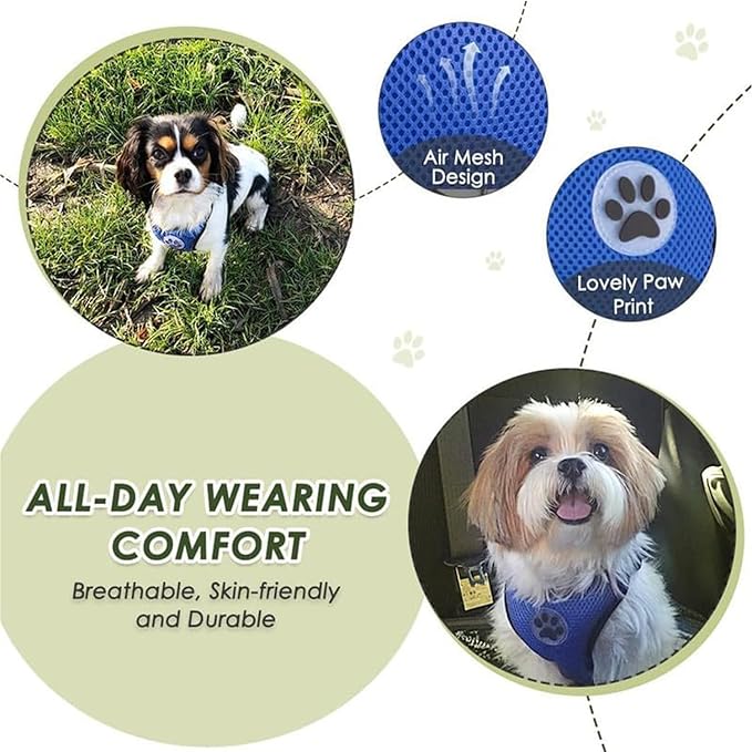 Lukovee Dog Seat Belt - Adjustable Dog Car Harness for Large, Medium & Small Dogs, Soft Padded & Breathable Mesh Dog Seatbelt with Car Vehicle Connector Strap (Blue Double Clip, Medium)