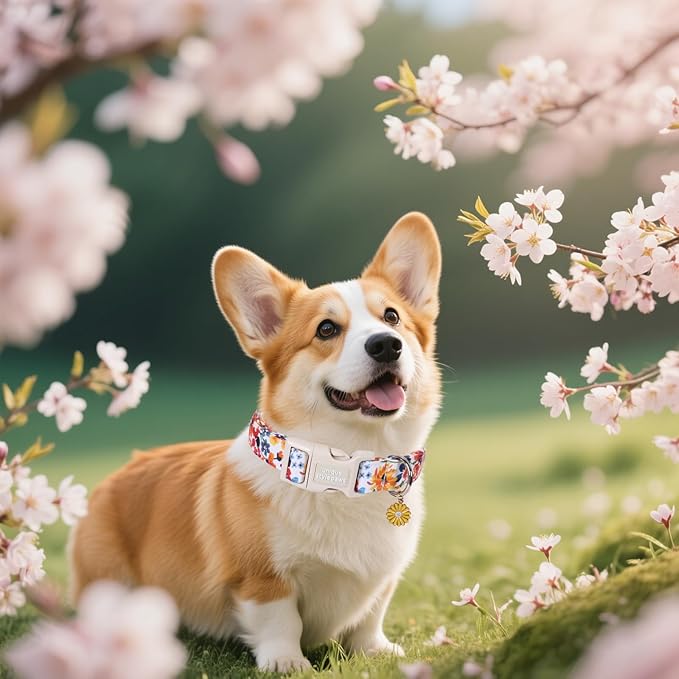 Unique Style Paws Dog Collar Plastic Buckle with Pendant Colorfol Flower Cotton Puppy Collars for Small Medium Large Dogs
