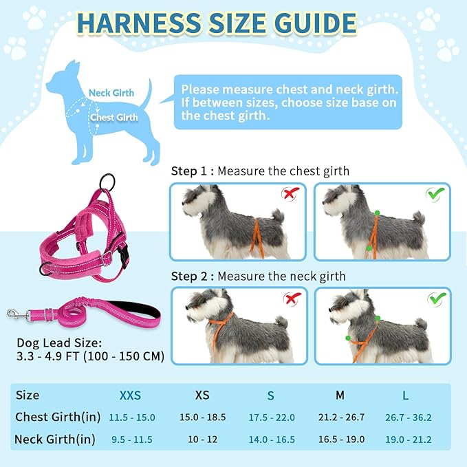 SlowTon No Pull Small Dog Harness and Leash Set, Puppy Soft Vest Harness Neck & Chest Adjustable, Reflective Lightweight Harness & Anti-Twist Pet Lead Combo for Small Medium Dogs (Fuchsia, XS)