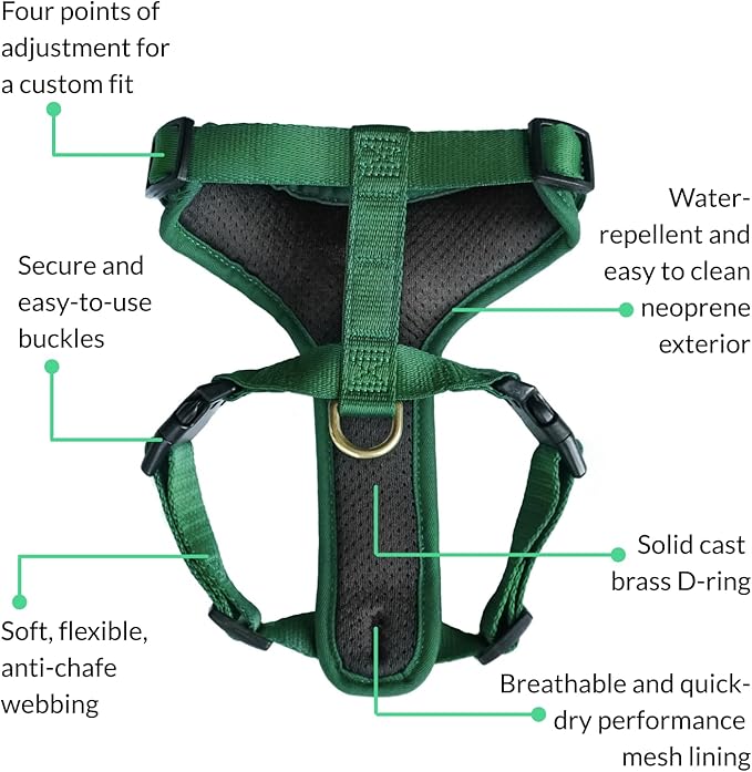 DJANGO Adventure Dog Harness - Stylish and Durable Medium Dog Harness for Outdoor Adventures and Everyday Wear - Forest Green Neoprene Adjustable Harness for Dogs with Reflective Piping, Brass D-Ring