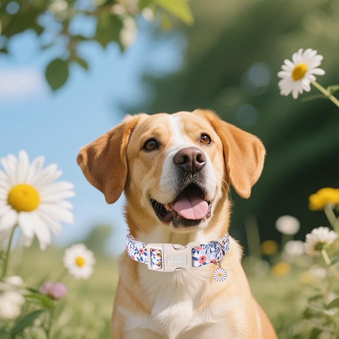 Unique Style Paws Dog Collar Plastic Buckle with Pendant Blue Rose Flower Grid Cotton Puppy Collars for Small Medium Large Dogs