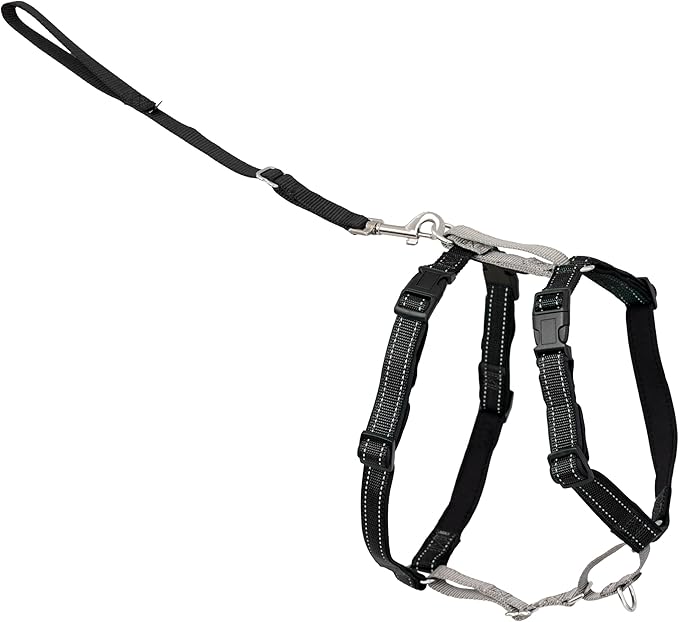 PetSafe 3-in-1 Harness - Comfortable Easy-Walk Dog Chest Harness with Front Leash Attachment to Reduce Pulling, Choking & Gagging - Dog Obedience Gear - Medium - Black