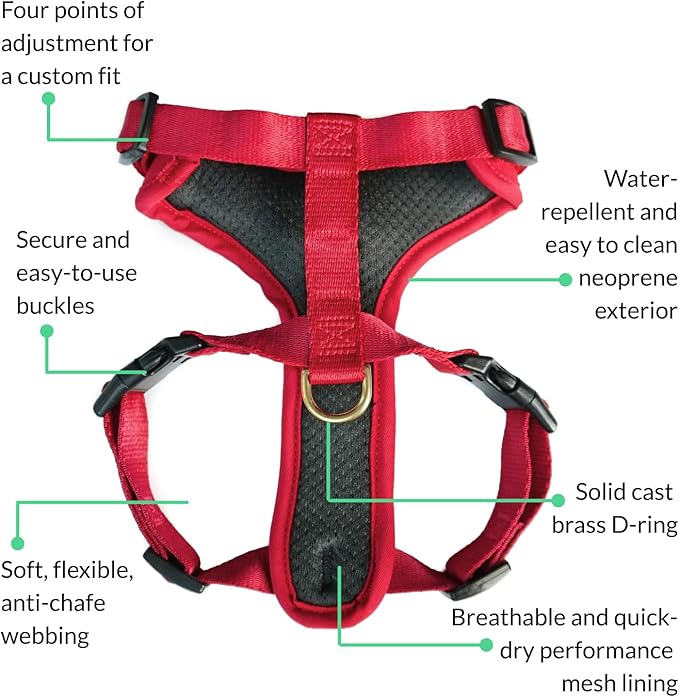 DJANGO Adventure Dog Harness - Stylish and Durable Small Dog Harness for Outdoor Adventures and Everyday Wear - Red Neoprene Adjustable Harness for Dogs with Reflective Piping, Solid Brass D-Ring