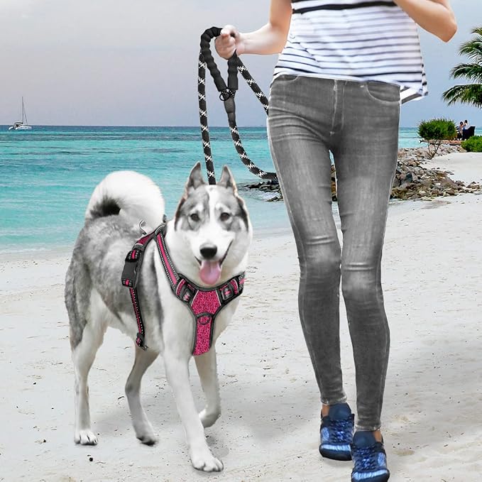 BARKBAY No Pull Dog Harness Large Reflective Dog Harness with Front Clip and Easy Control Handle for Walking Training Running with ID tag Pocket(Pink/Black,XL)