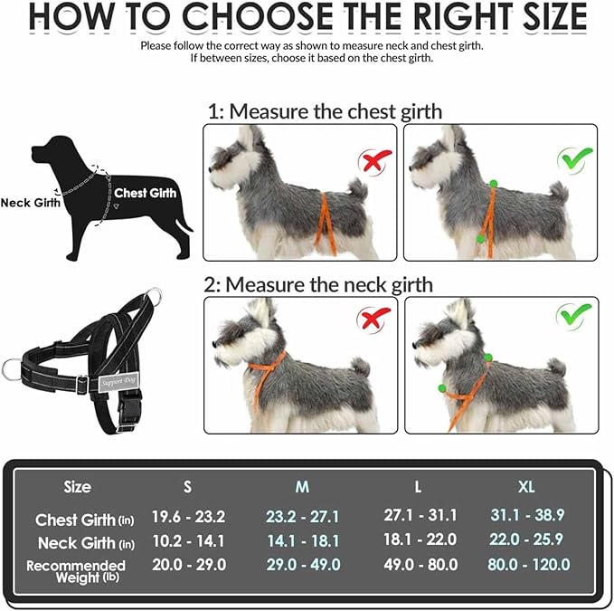 Lukovee No Pull Dog Harness & Leash Set - Heavy Duty Dog Vest Harness with Soft Padded for Medium Large Dogs, Adjustable Reflective Tactical Pet Harness for Easy Walk and Training (S, Black)