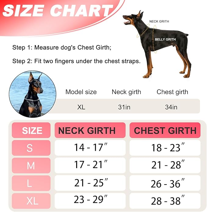 Neck Padded Service Dog Vest Harness and Leash Set, No Pull Adjustable Service Pet Harness with 8 Dog Patches, Reflective in Training Easy Control Pet Vest with 5ft Dog Leash for Medium & Large Dogs