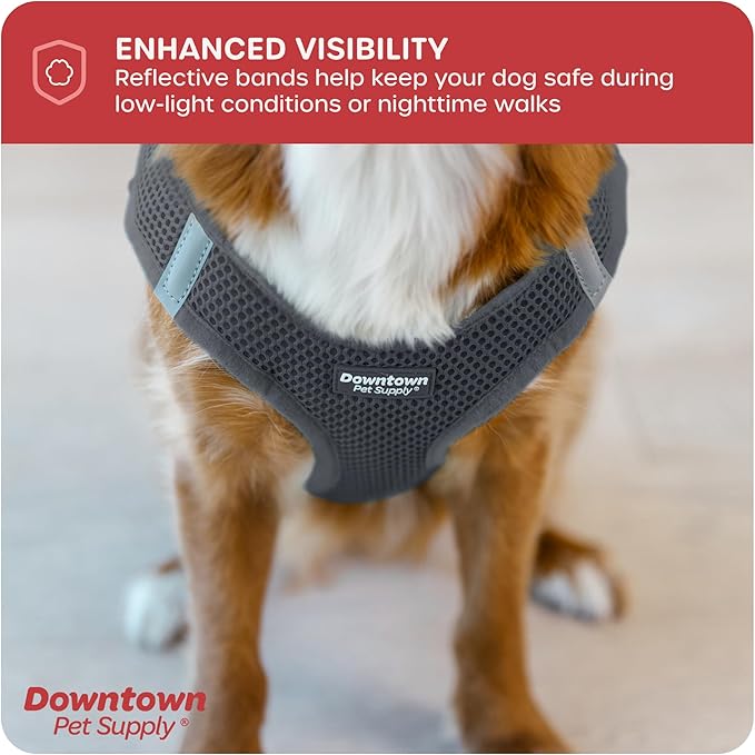 Downtown Pet Supply Step-in Dog Harness – No Pull, Adjustable Padded Mesh with Reflective Trim, Secure Buckle Strap – Comfortable & Breathable Small Dog Harness, Large, Charcoal