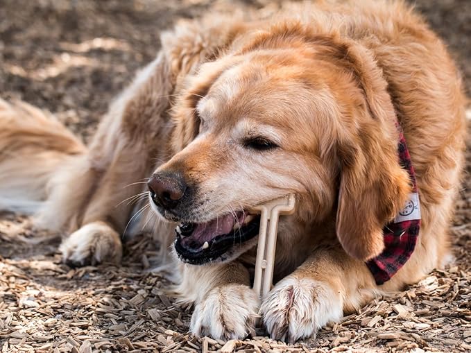 Bullibone Nylon Dog Chew Toy for Aggressive Chewers - Dental Hygiene Bone with Chicken Flavor, Durable Tough Chew Toys for Large Dogs, Indestructible Dog Bone - 3 Pack