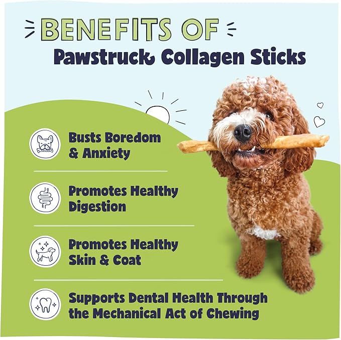 Pawstruck Natural Large 12" Beef Collagen Sticks for Dogs – Long-Lasting Rawhide Alternative, High Protein Treats with Chondroitin & Glucosamine – 5 Pack