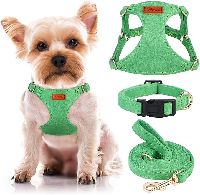 No Pull Dog Harness- Lightweight, Soft, Adjustable Small Harness Collar and Leash Set, Suitable for Cats Puppy Small and Medium-Sized Dog Outdoor Training and Running