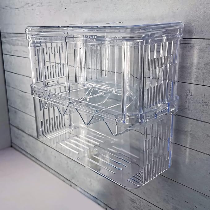 Acrylic Fish Breeding Box Double Layer Aquarium Tank Fishes Isolation Box with Suction Cup for Fry Hatchery Injured Care Divider Container for Small Ornamental Fishes Shrimp (Large)