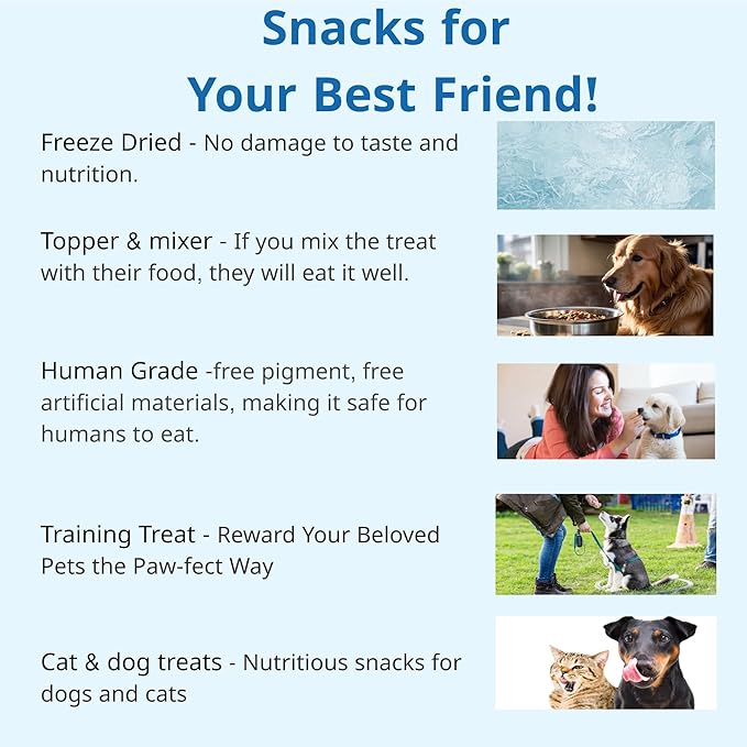 Puppyluv Capelin Treats for Dogs & Cats – Freeze-Dried Whole Fish, High Protein, Omega 3/6/9, Healthy Skin & Coat, Grain-Free, Natural Training Treats, 2.6oz x 3p