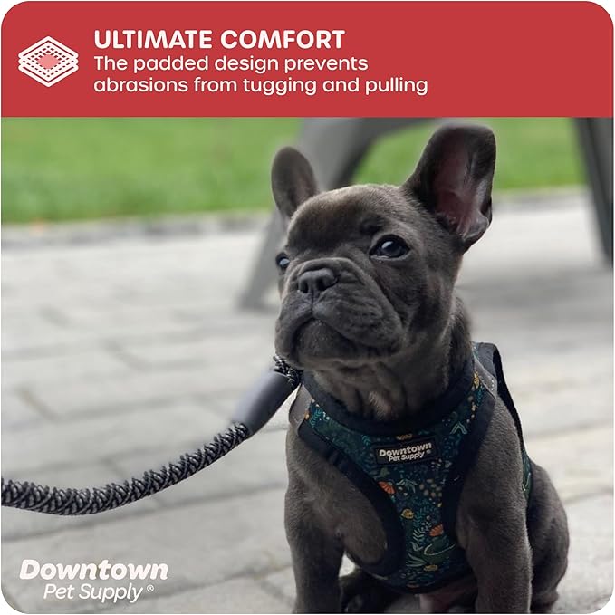 Downtown Pet Supply Step-in Dog Harness – No Pull, Adjustable Padded Mesh with Reflective Trim, Secure Buckle Strap – Comfortable & Breathable Small Dog Harness, Large, Dinosaur